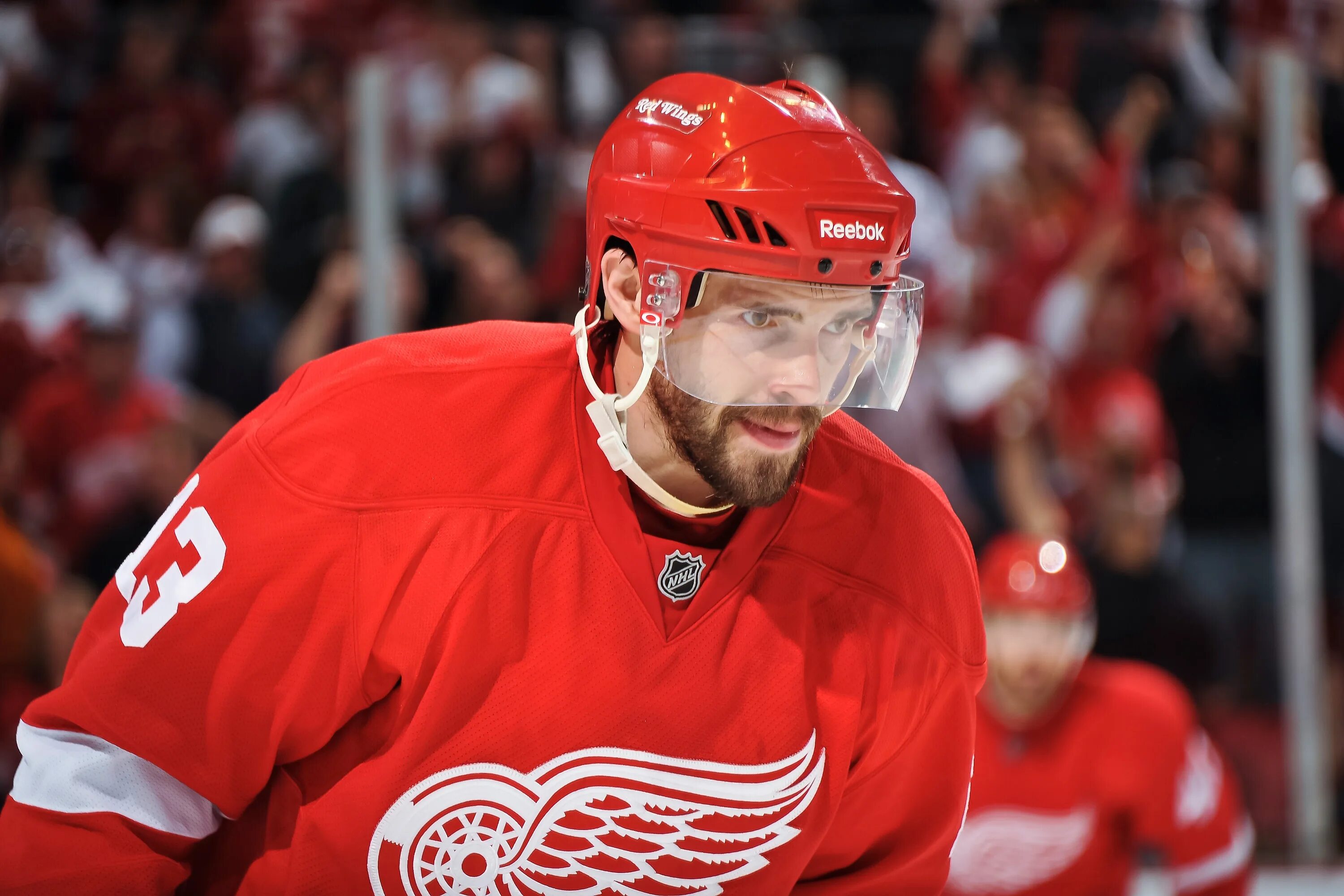Павел дацюк фото Detroit Red Wings: What This Season Taught Us, and How We Move Forward News, Sco