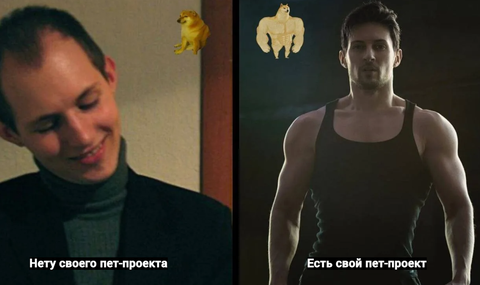 Павел дуров фото брата Почему умирает твой пет-проект? / Habr