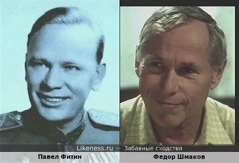 Павел фитин разведчик биография и фото Павел Фитин похож на Федора Шмакова :: Забавные сходства