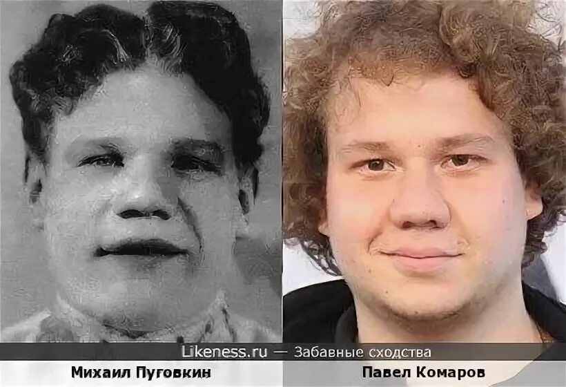 Павел комаров актер похудел фото Михаил Пуговкин - Павел Комаров :: Забавные сходства