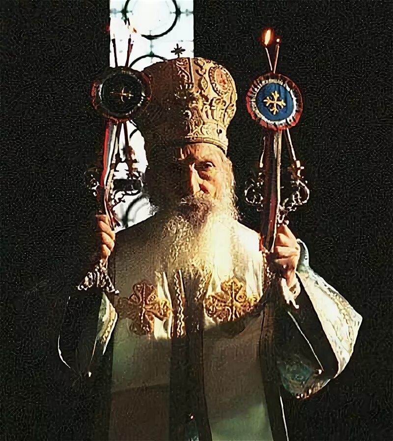 Павел сербский фото Жизнь Святейшего Патриарха Сербского Павла - Татьянин день
