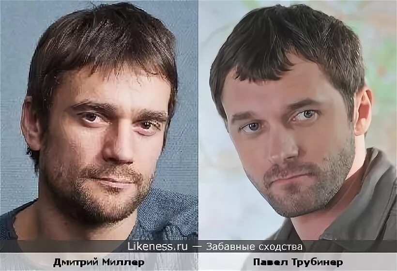 Павел трубинер и бероев фото Дмитрий Миллер и Павел Трубинер :: Забавные сходства