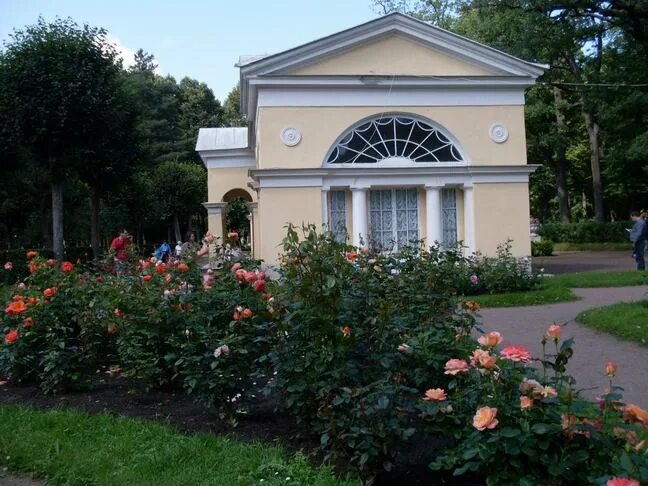 Павильон роз садовая ул 20з фото Цветники Павловска - Ольга Свириденкова - ЖЖ