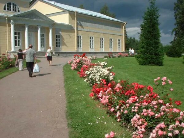 Павильон роз садовая ул 20з павловск фото Павловск: Розовый павильон