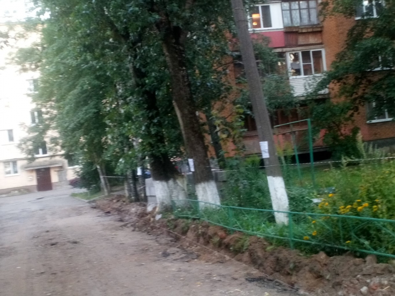 Павла левитта 14 великий новгород фото В мэрии опровергли заявления новгородцев о "варварском уничтожении деревьев" на 