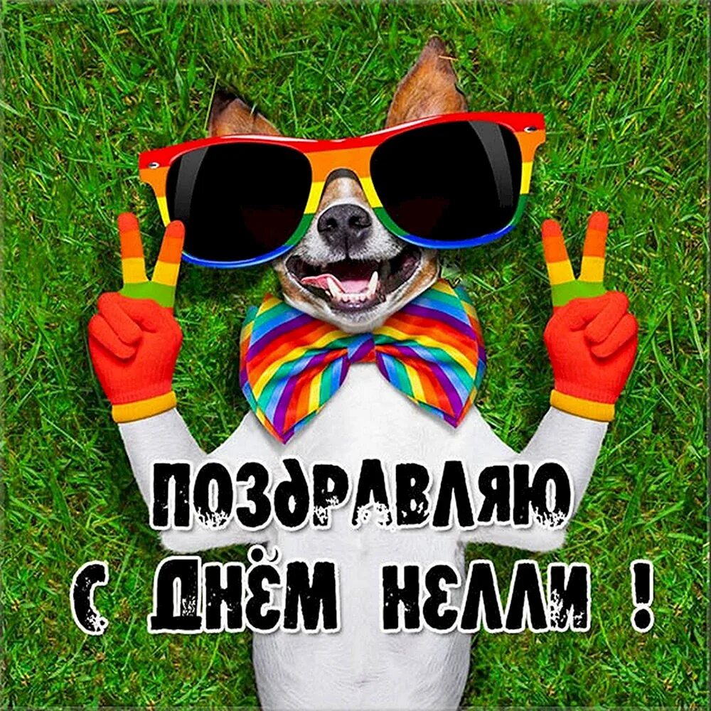 Павлик с днем рождения прикольные картинки Пашка с днем