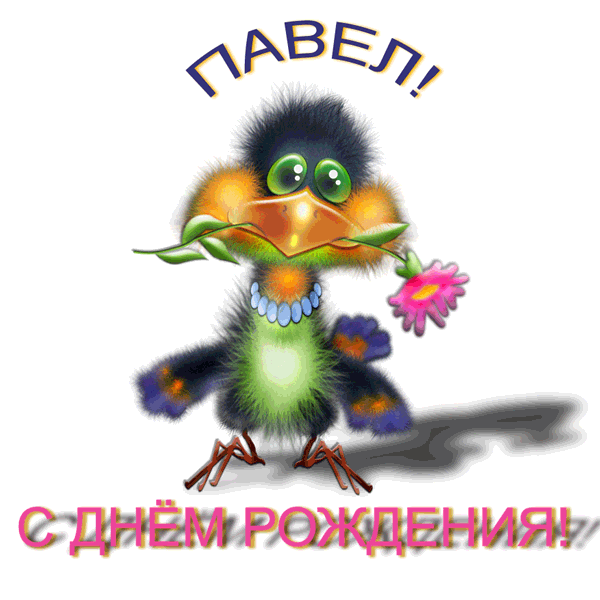 Павлик с днем рождения прикольные картинки Открытки Апостолы Петр и Павел в Доме Солнца - Страница 2