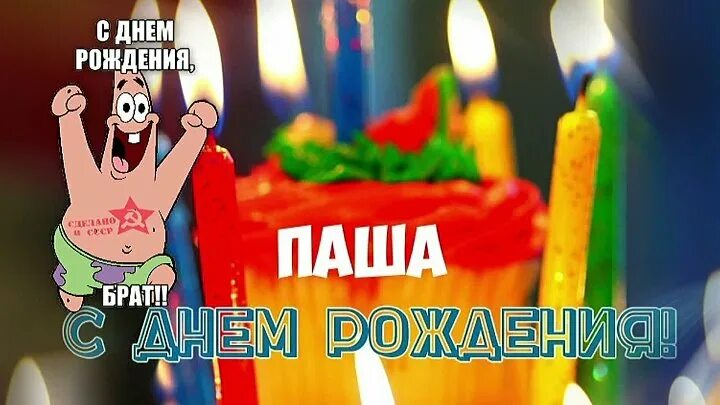 Павлик с днем рождения прикольные картинки с ДНЕМ РОЖДЕНИЯ!