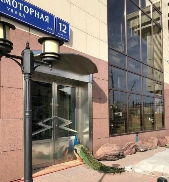 Павлин ленинградская ул 152а вологда фото В Московском зоопарке в некоторых вольерах с птицами можно увидеть большое колич