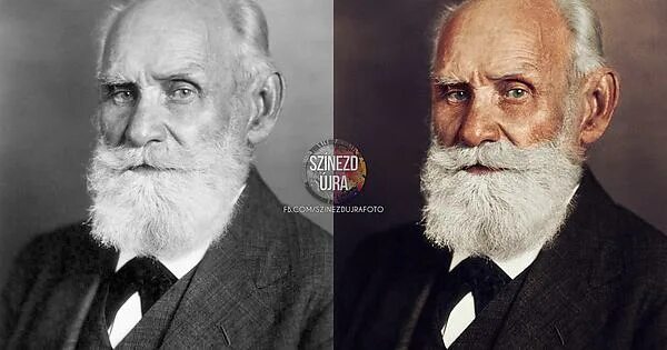 Павлов физиолог фото Ivan Pavlov - Imgur