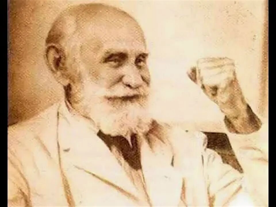 Павлов физиолог фото Жена должна быть не только верным товарищем все 55 лет: академик Иван Павлов и е
