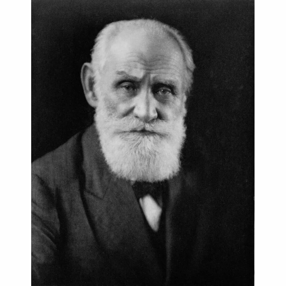 Павлов физиолог фото Pavlov Art