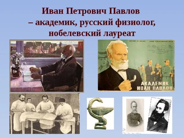 Павлов физиолог фото Устный журнал "Великие победы российского народа" - классному руководителю, през