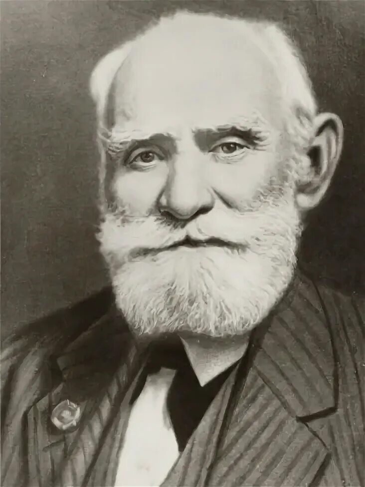 Павлов фото в хорошем качестве Ivan Petrovich Pavlov Russian Physiologist' Photographic Print AllPosters.com Па