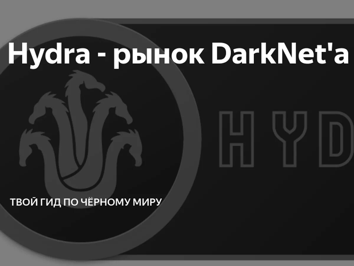 Павлов гидра фото В Москве задержан предполагаемый основатель даркнет-рынка "Гидра" - TOPNews.RU