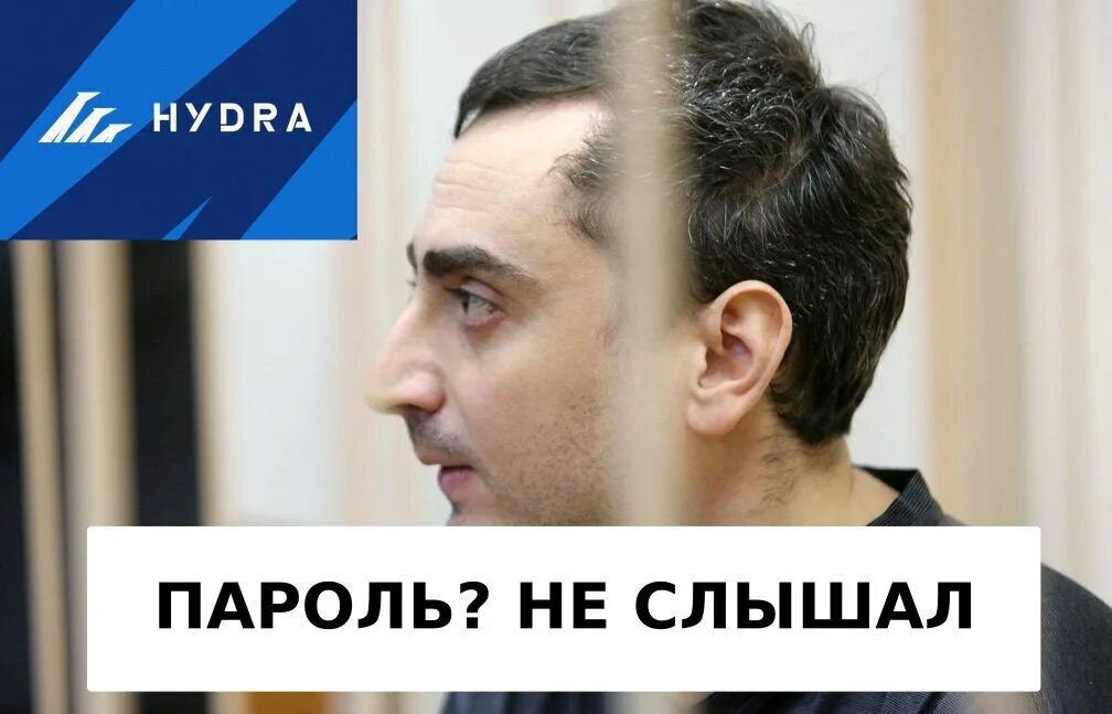 Павлов гидра фото Hydra последние новости фото Privet-Client.ru