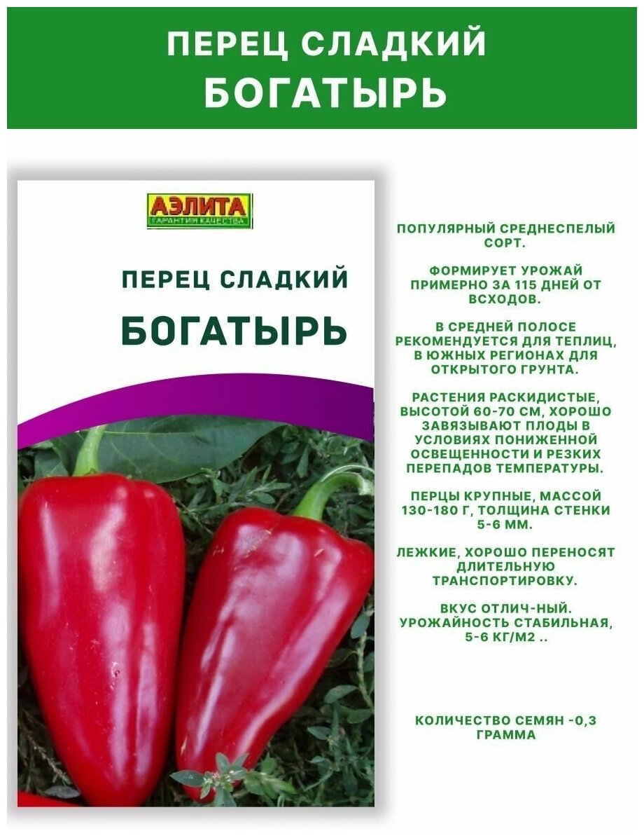 Перец богатырь отзывы фото урожайность Семена перца овощей перец Богатырь - 2 упаковки - купить в интернет-магазине по 