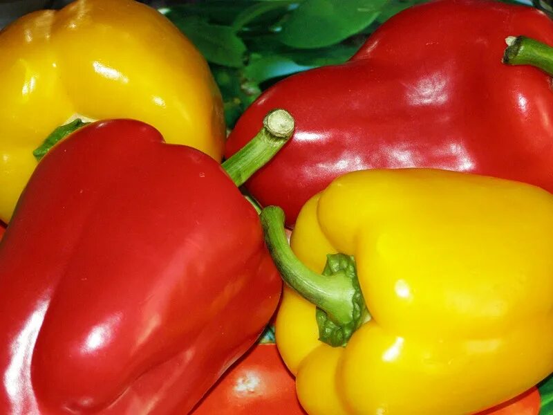 Перец болгарский сорта фото Витамины для костей (для роста и укрепления): как узнать о дефиците и восполнить