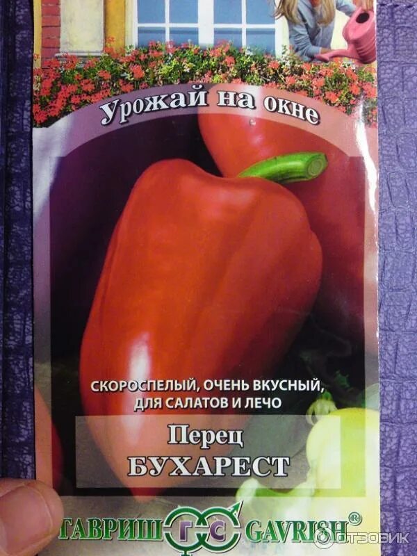 Перец бухарест описание сорта фото отзывы садоводов Отзыв о Семена перца Гавриш "Бухарест" Урожаем порадовал!