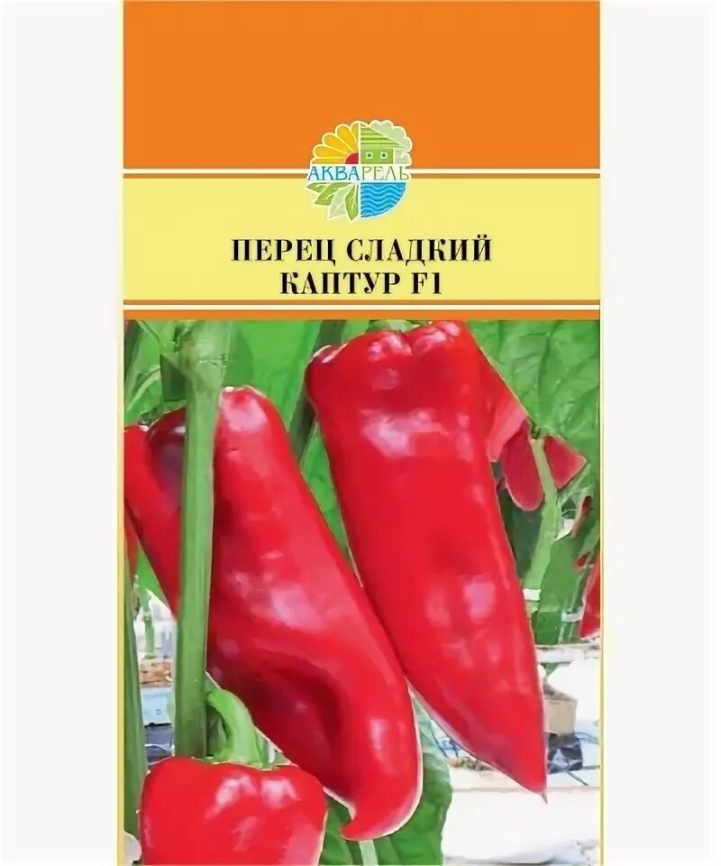 Перец бухгалтер описание сорта фото отзывы Перец Каптур /Seminis/ 5шт