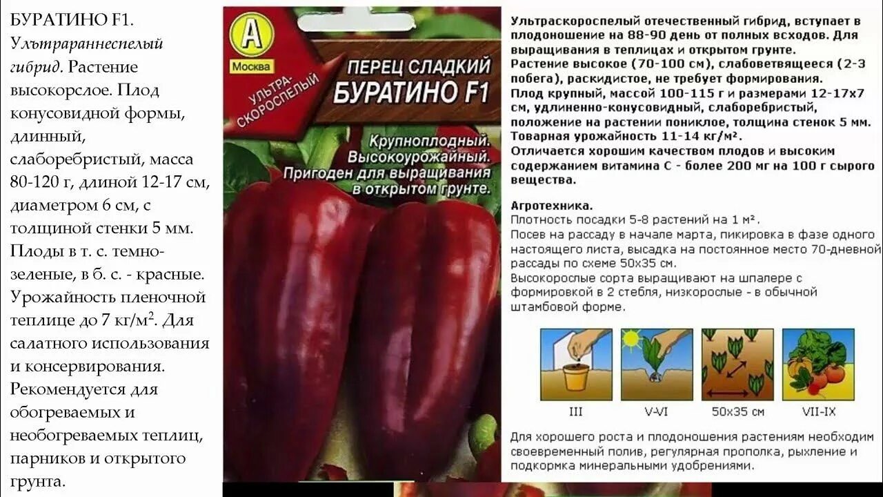 Перец буратино описание сорта фото отзывы Перец сладкий Буратино F1 ОТЗЫВЫ семена - YouTube