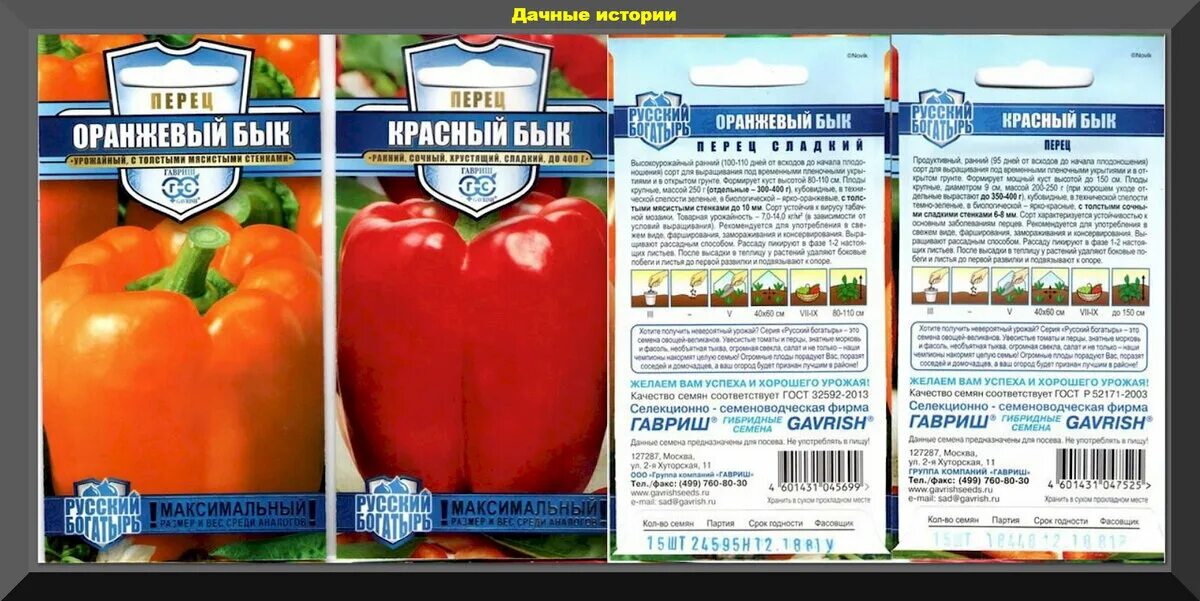 Перец бык фото Красивые, необычные, урожайные, неприхотливые: четыре десятка сортов-гибридов сл