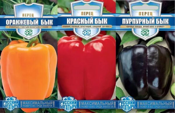 Перец бык описание сорта фото Перец сладкий Гавриш оранжевый красный пурпурный бык - купить по выгодным ценам 