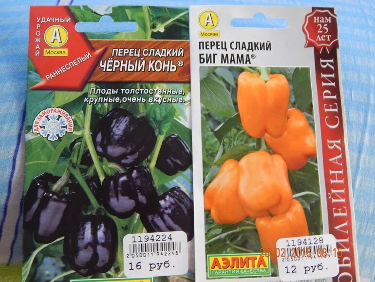 Перец черный конь отзывы фото Купила семена Перчик Черный конь! - 6 ответов форум Babyblog