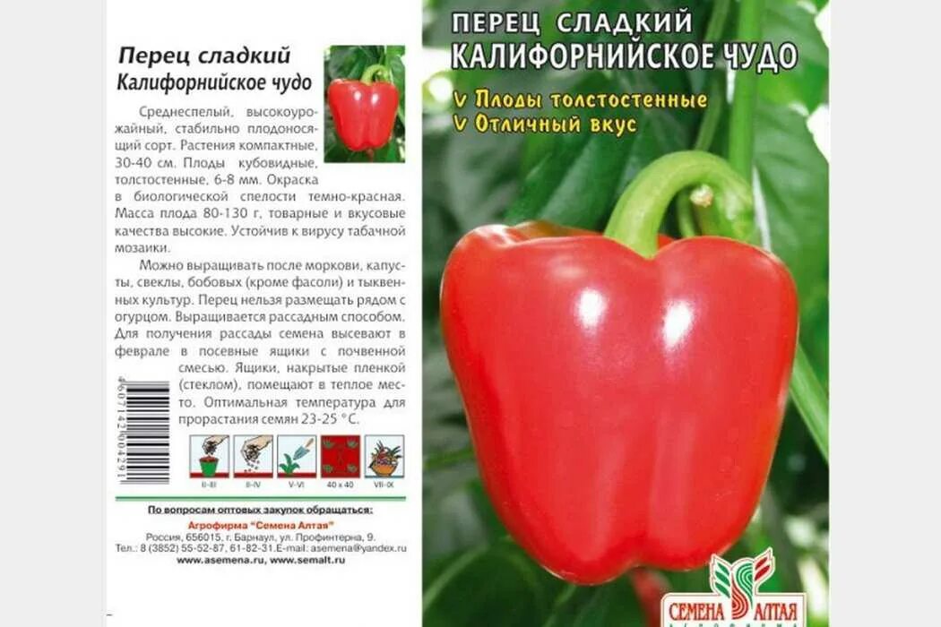 Перец чудо описание сорта фото отзывы Перец калифорнийское описание: найдено 71 изображений