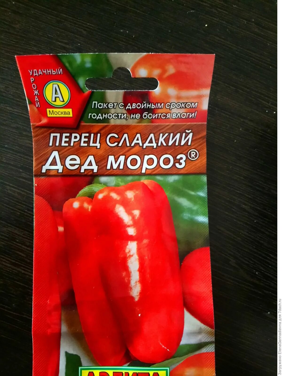 Перец дед мороз описание сорта фото отзывы Перец сладкий Дед Мороз. I этап. Посев семян