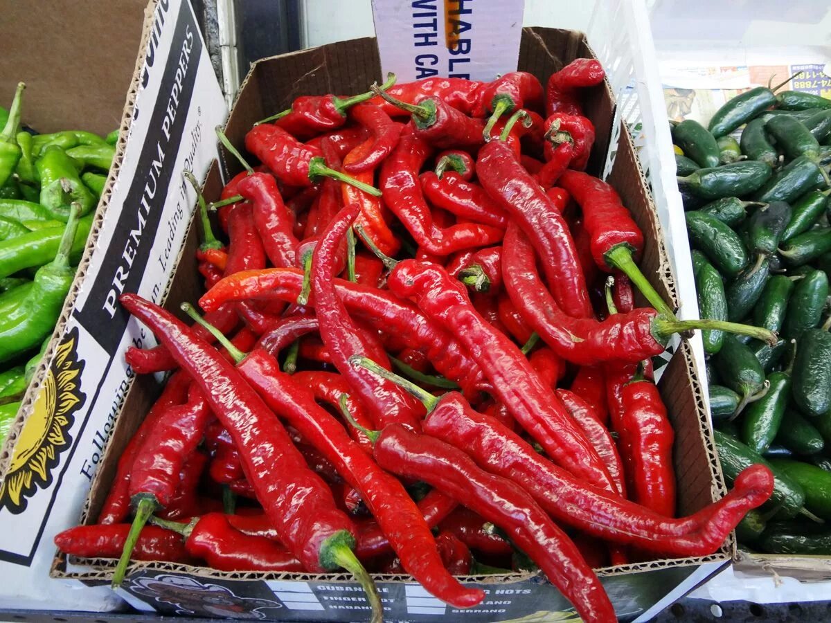 Перец джокер фото Red chili peppers (Hong-gochu) Stuffed peppers, Chili pepper recipes, Red chili 