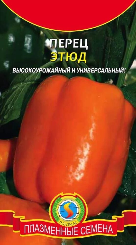 Перец этюд фото Перец Этюда. Плазменные семена
