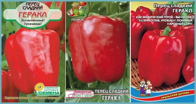 Перец геракл описание отзывы фото Перец геракл отзывы HeatProf.ru