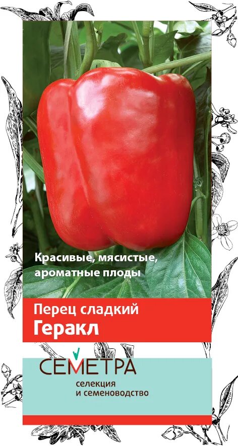 Перец геракл описание сорта фото отзывы Перец сладкий Геракл Поиск 0,25 г - купить в Энгельсе: цены, характеристики, отз