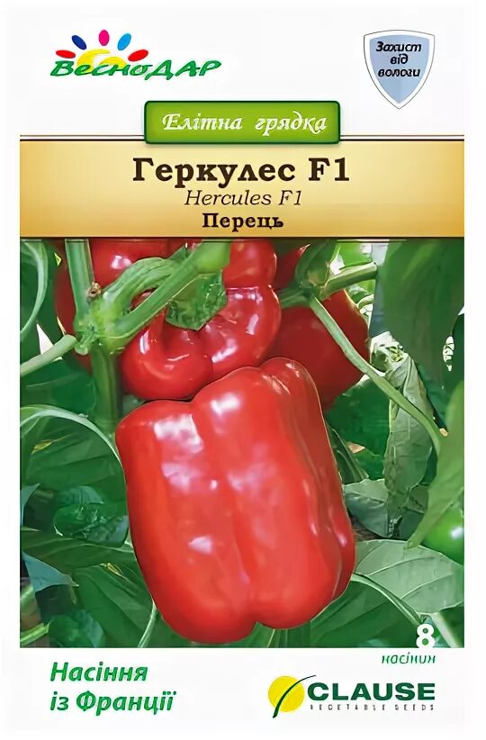 Перец геркулес описание сорта фото Перец Геркулес: характеристика и описание гибридного сорта с фото