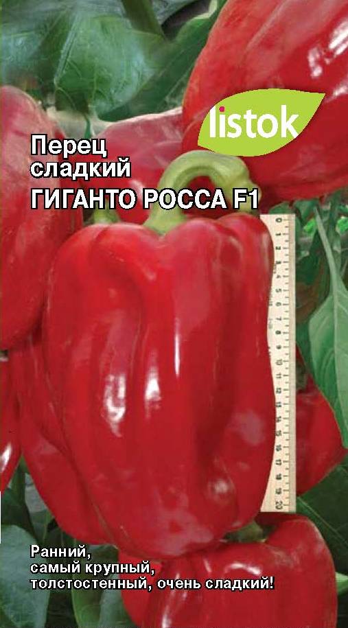 Перец гигант росса отзывы фото Перец Гиганто Росса: описание сорта, характеристика плодов, агротехника выращива