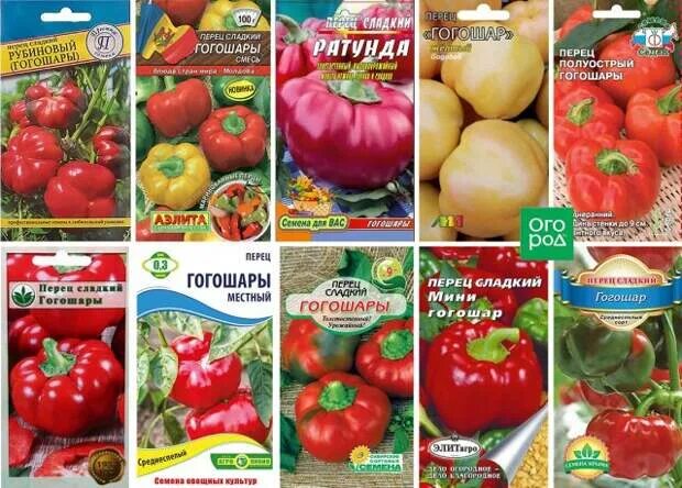 Перец гогошар и описание сорта фото отзывы Гогошар - учимся выращивать и готовить любимый овощной перец - Обсуждение статьи