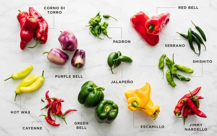 Перец горький халапеньо описание и фото сорта Your Complete Guide to Which Peppers to Use, When Scratchpad by Good Eggs Stuffe