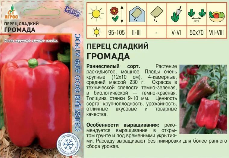 Перец громада отзывы фото Семена Перец сладкий Громада: описание сорта, фото - купить с доставкой или почт