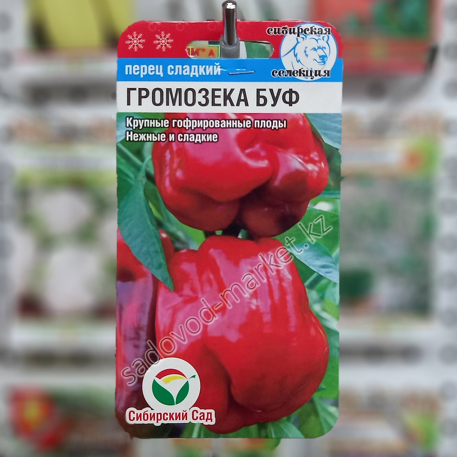 Перец громозека буф описание сорта фото отзывы Перец громозека буф описание сорта фото отзывы - imperiyaroz.ru