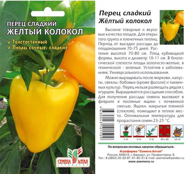 Перец желтый колокол фото Перец Желтый Колокол/Семена Алтая/цп 0,2 гр. огурцы, патиссоны, перец. Семена ов