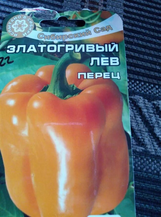 Перец златогривый лев описание сорта фото Перец златогривый лев описание: найдено 83 картинок