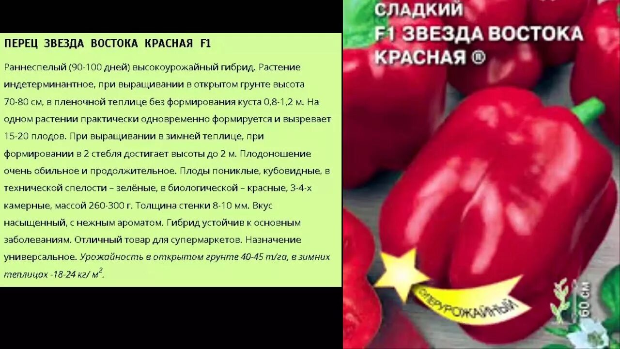 Перец звезда описание сорта фото отзывы Перец Звезда Востока красная F1 - YouTube