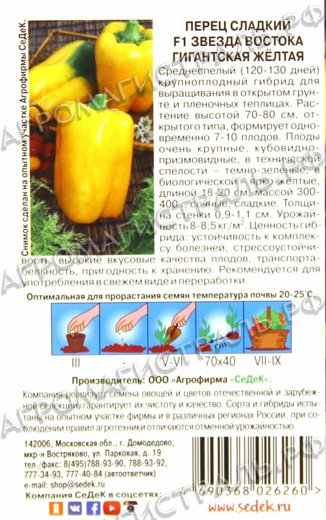 Перец звезда востока описание отзывы фото Перец Звезда востока: описание сорта, отзывы, фото, характеристика плодов, досто