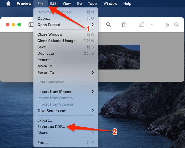 Перевести фото в линии How Do I Save A Scanned Document As A Pdf On My Iphone - Release Date Price Revi