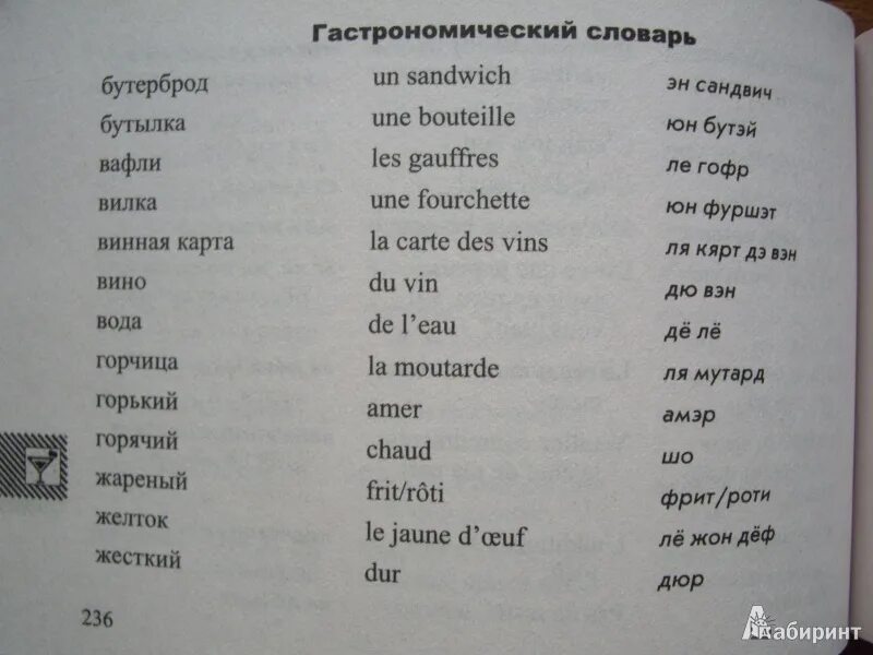 Перевод по фото с французского на русский Иллюстрация 14 из 28 для Русско-французский разговорник - Ольга Кобринец Лабирин