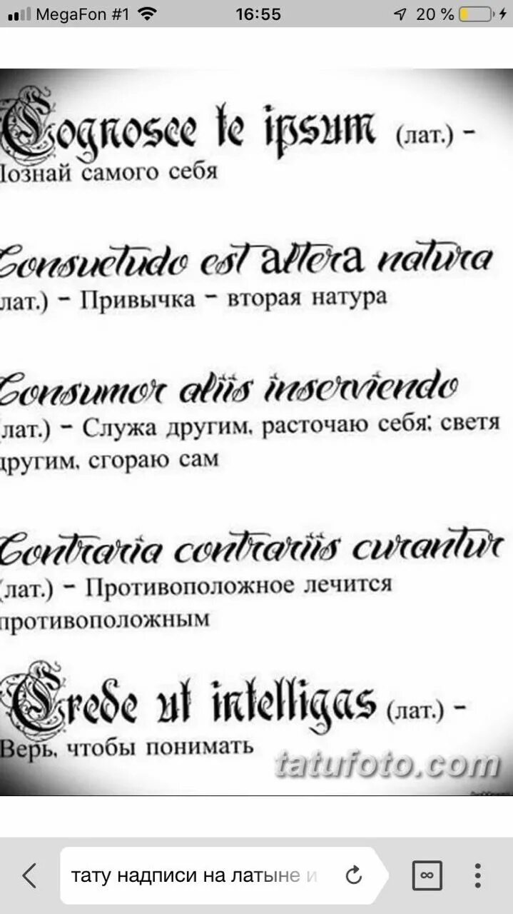 Перевод тату по фото Giygiy Words, Tattoos, Phrase