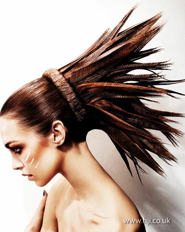 Перо в женской прическе 5 букв 2013 feather headdress hair - Hairstyle Gallery Hair styles, Artistic hair, Hair