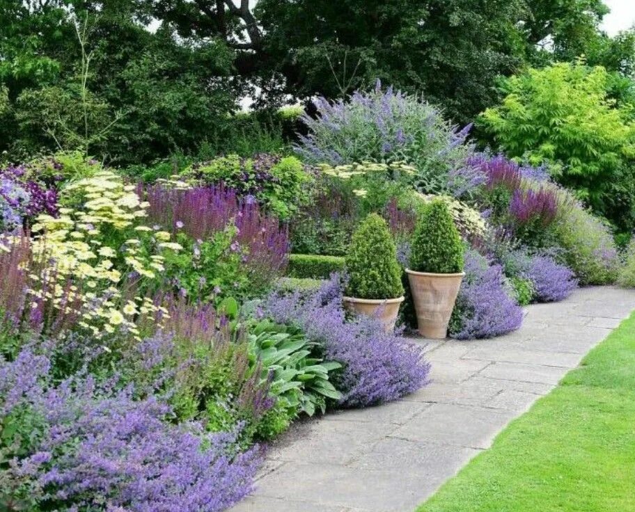 Перовския в ландшафтном дизайне фото A beautiful purple border with accents of yellow and green. Amazing pairings of 