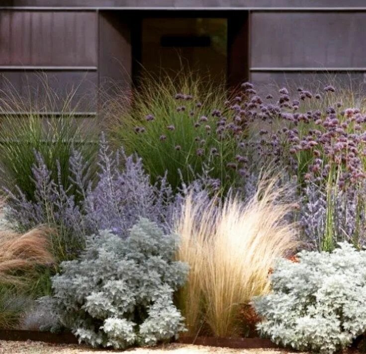 Перовския в ландшафтном дизайне фото Pin on Garden/Farm Mediterranean garden design, Modern garden design, Modern gar